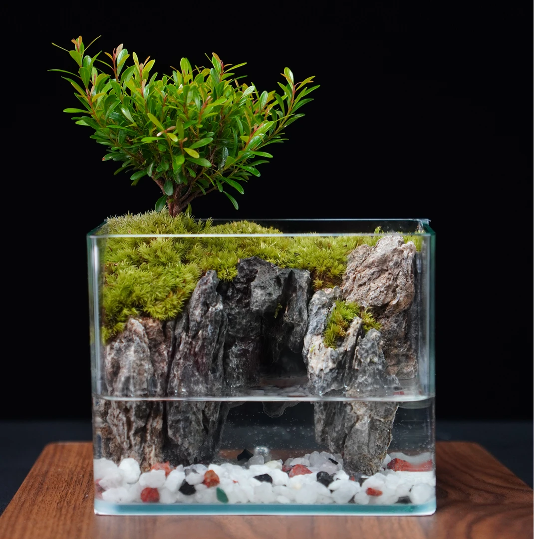 【苍苔入境】洞天-小叶赤楠苔藓绿植创意微景观盆栽鱼缸18*12*14