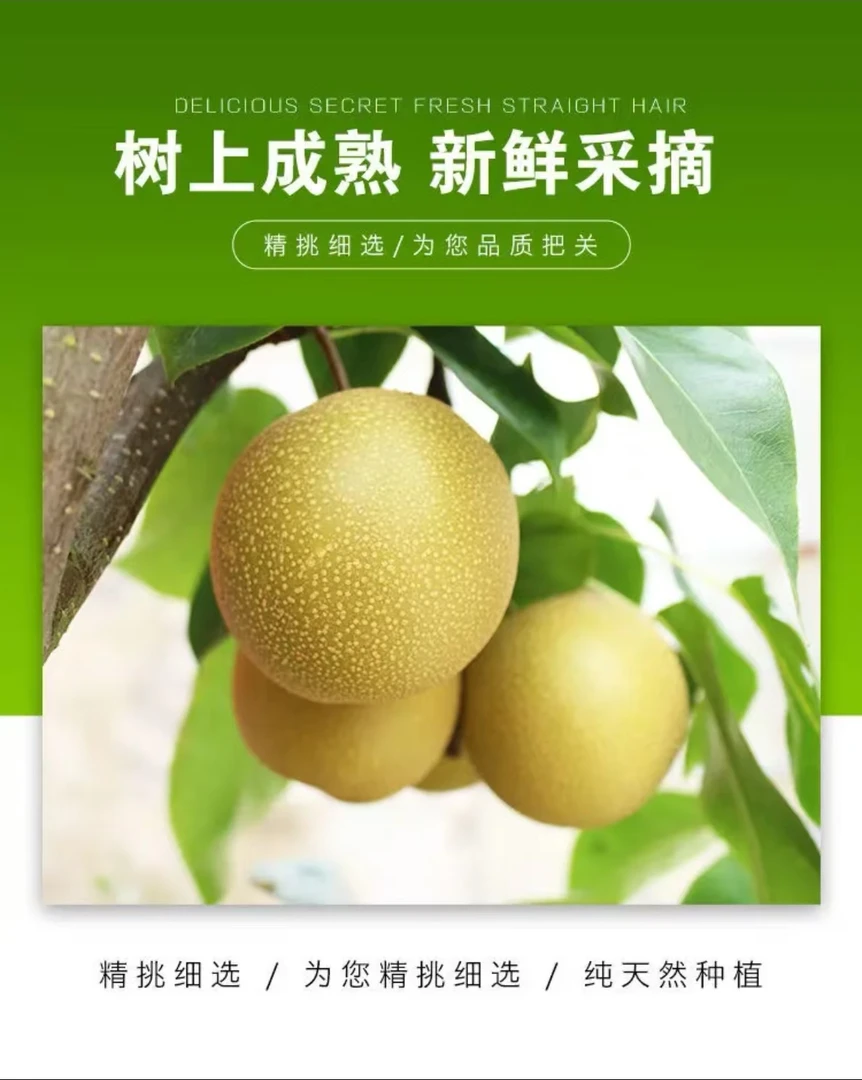 四川宜宾佛来山黄花梨佛梨