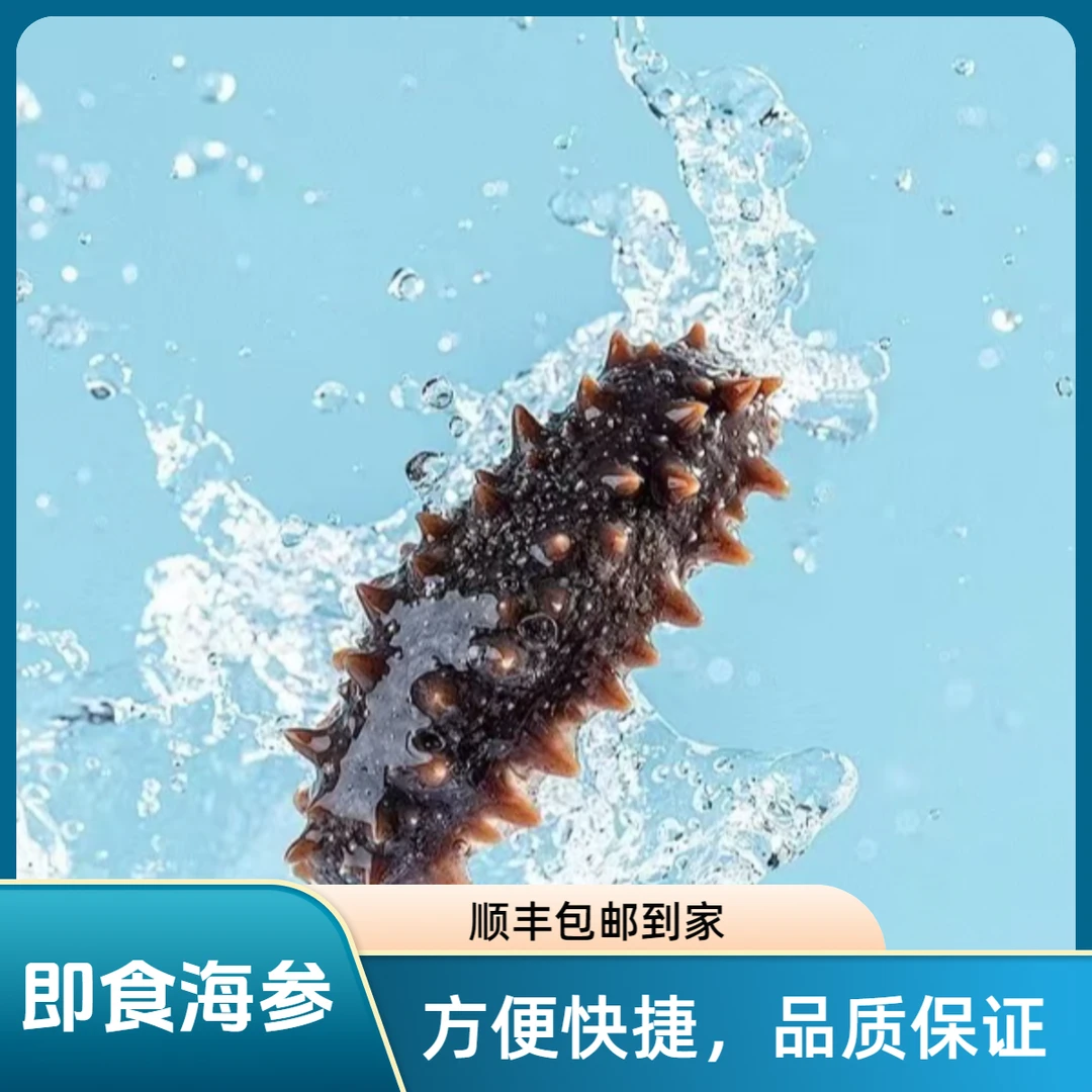 青岛即食海参30~40只左右(顺丰包邮 活参加工)带两只试吃装