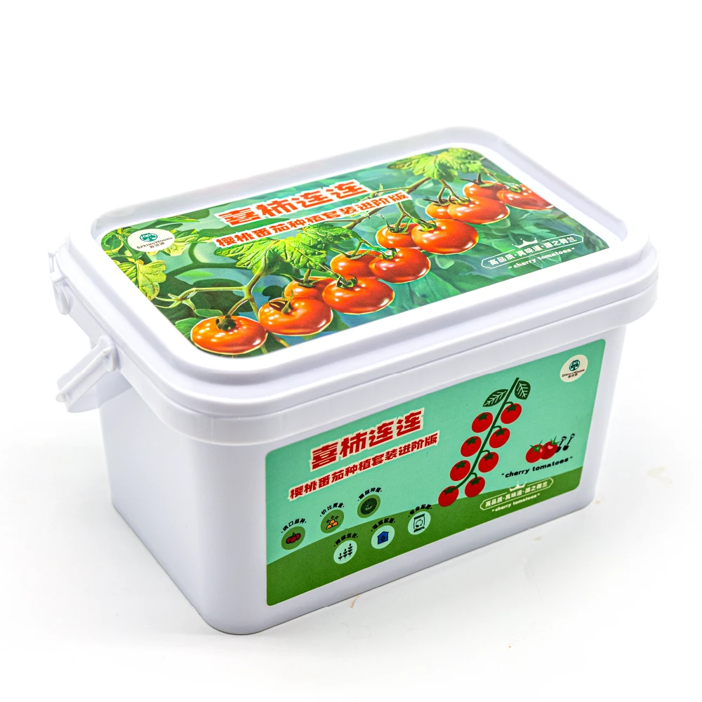喜柿连连春沐源樱桃番茄探索种植套装盆栽阳台种植书房客厅可食用