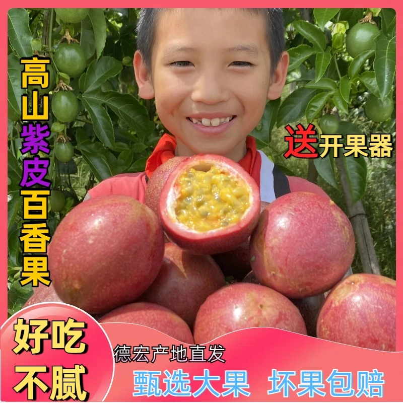 云南高山紫皮百香果新鲜果园大果百香果酸酸甜甜百香果当季鲜大果