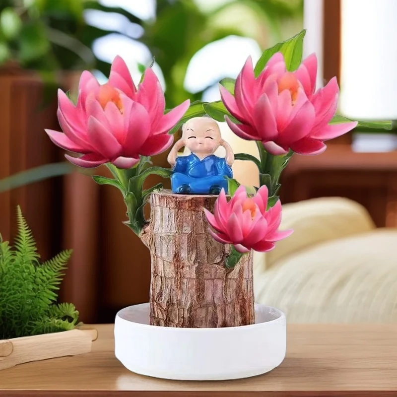 【基地直销巴旦木带芽孢】正宗巴西木幸运木开花格鲁特室内水培好养