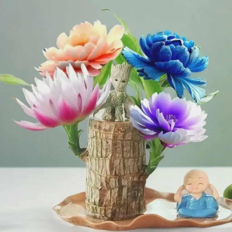 高档巴西木带芽水培正品带芽带叶室内绿植盆栽幸运木开花快带养活