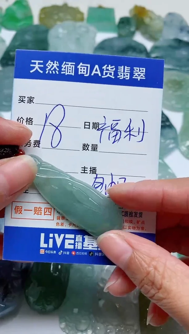 【闪购商品】翡翠颈饰未镶嵌A01