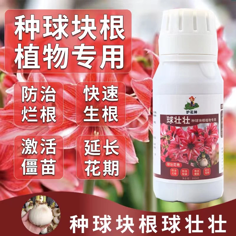 绿植辅助用品！护花神！球壮壮！球根植物守护神