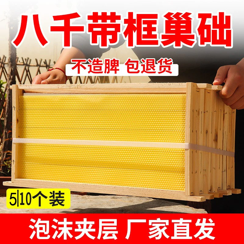 正品八千带框巢础中蜂成品巢框蜂巢基杉木标准片养蜂畜牧工具蜜蜂