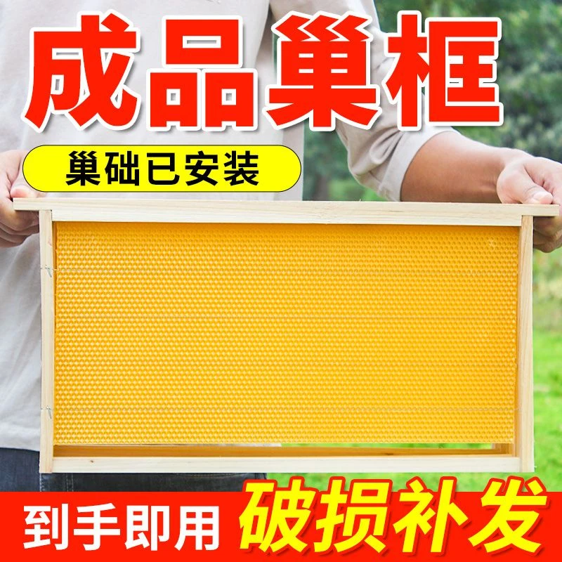 巢框中蜂配件成品峰巢巢础脾间隔巢框养蜂全套工具畜牧工具蜜蜂