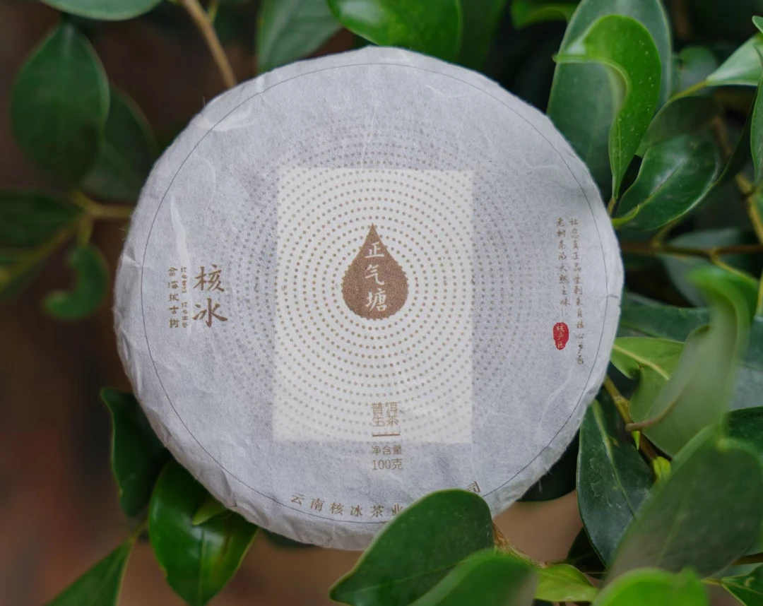 2023年正气塘古树普洱生茶小萌饼
