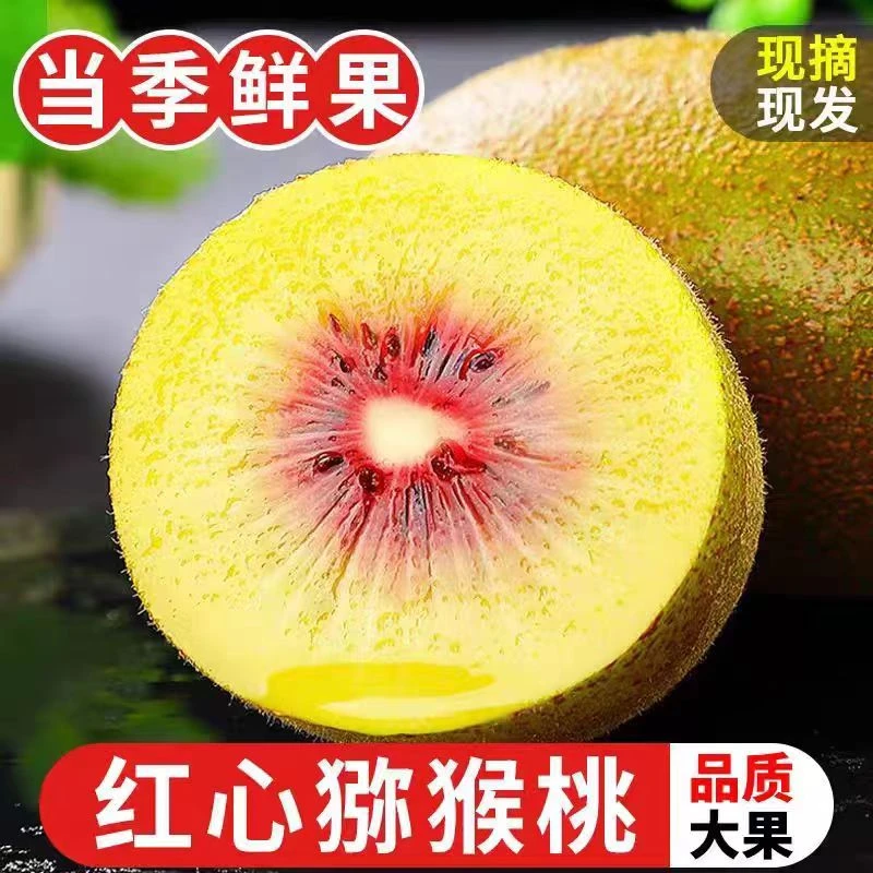 正宗四川红心猕猴桃新鲜当季水果现摘现发放软即食