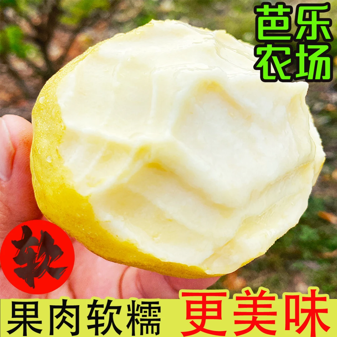 广东湛江白心软芭乐奶油番石榴香甜多汁坏果包赔现摘包邮产地直发