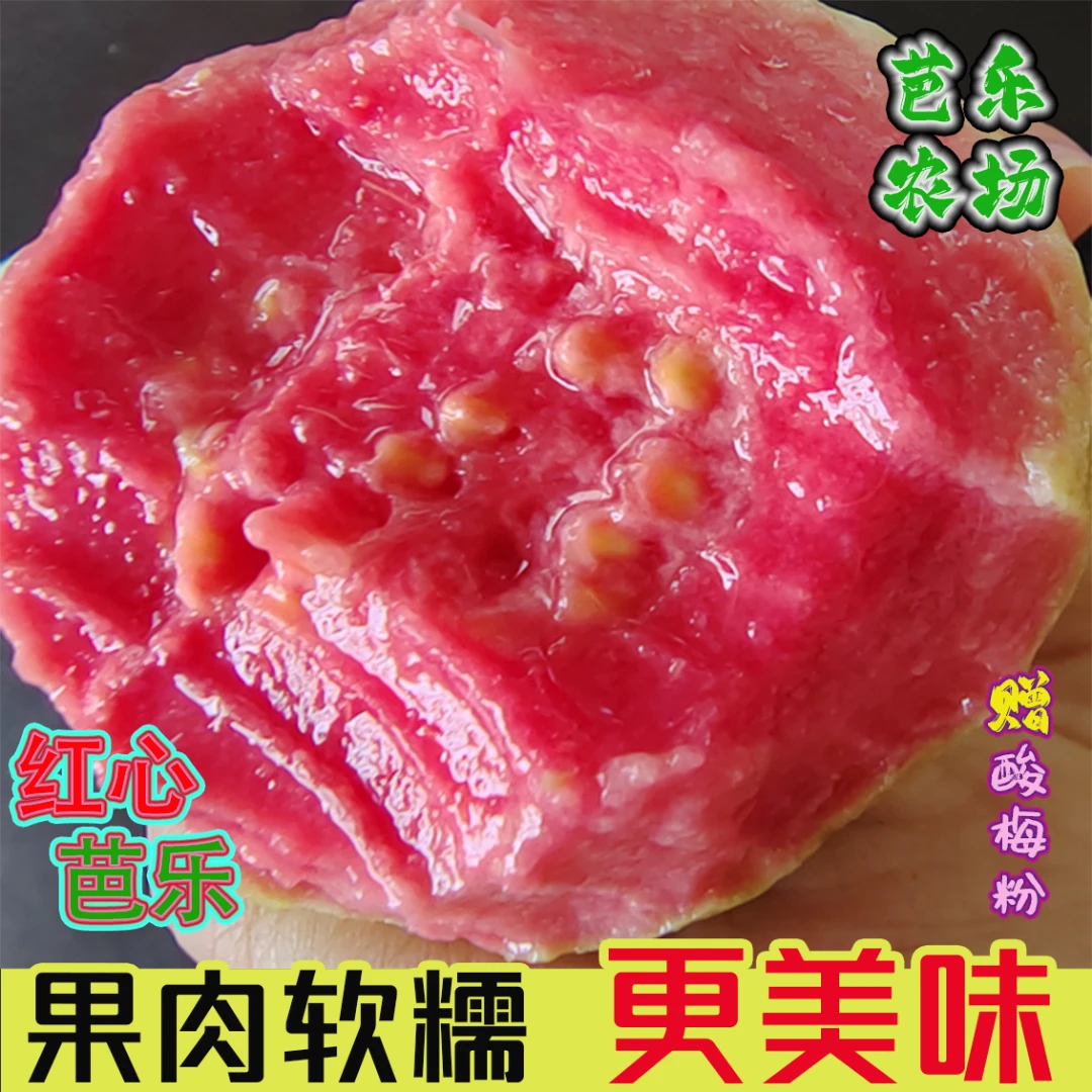 正宗红心软芭乐番石榴新鲜采摘软糯香甜低糖低卡坏果包赔产地直销