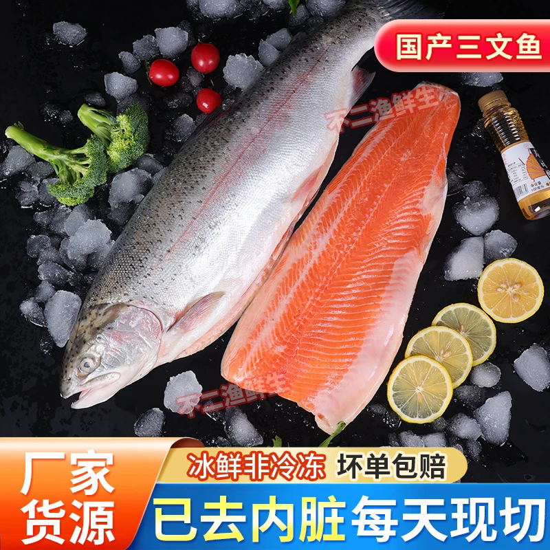 【当天现切 免费开片】正宗新疆三文鱼7斤冰鲜刺身整条生鱼片