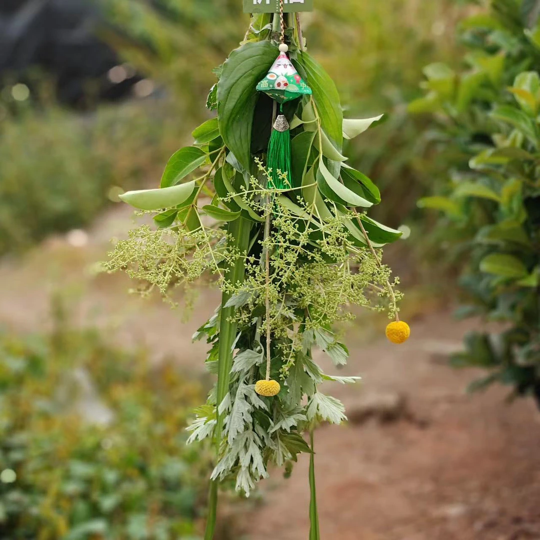 二狗家 端午花束 安康祝福家庭氛围感