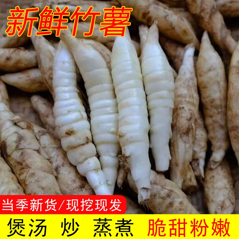 广西新鲜竹薯现挖冬粉薯竹芋无渣凉粉薯当季京东薯根茎薯煲汤现货