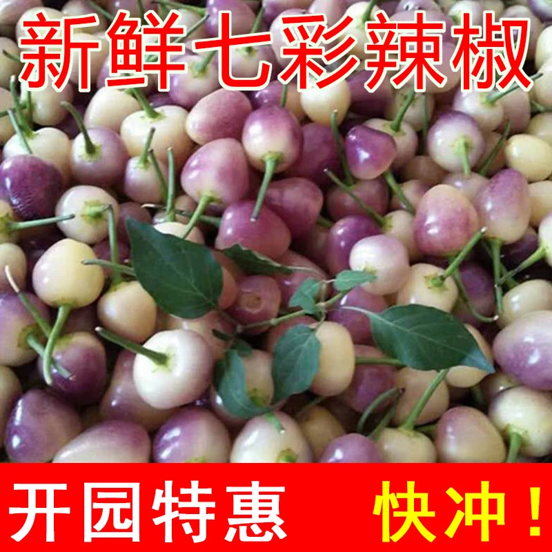 广西特产新鲜七彩辣椒现摘五色椒农家小辣椒灯笼椒泡椒1-9斤现货