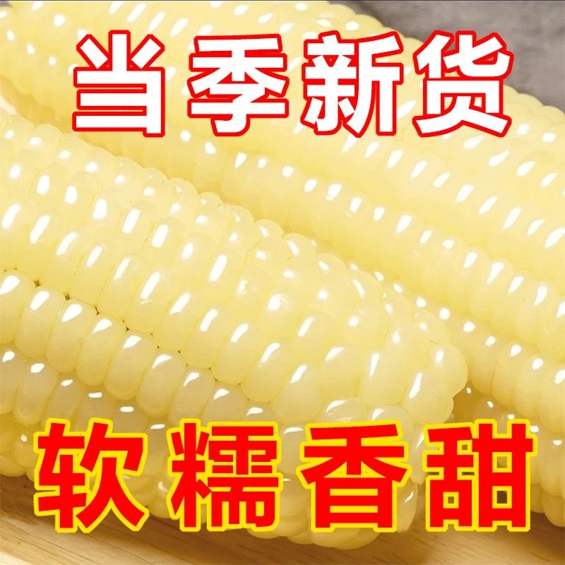 12.9抢5支】东北黄糯玉米甜糯粘玉米棒真空锁鲜新鲜粗粮代餐即食