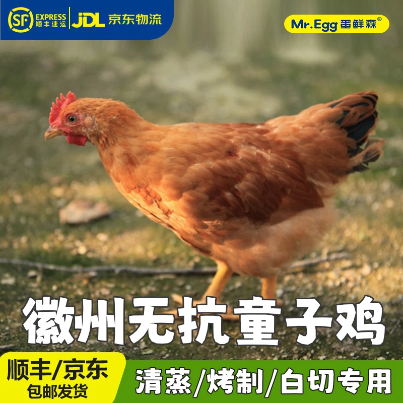 蛋鲜森【阿美姐专属】童子鸡谷物喂养无抗净膛2只重3.4斤-3.8斤鲜嫩