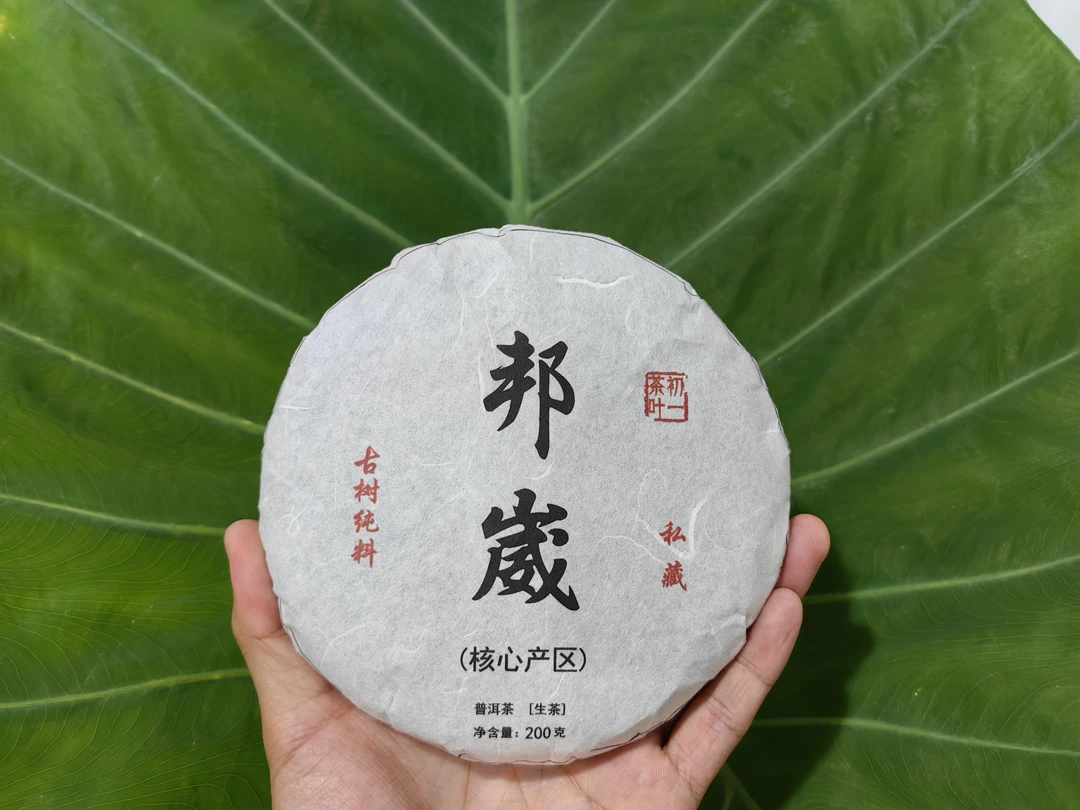 【初一的茶】普洱茶2025邦崴古树茶核心产区200克包邮送品鉴试喝装