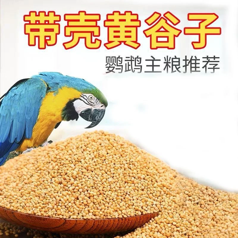 鸟粮新黄谷子中小型鹦鹉饲料食虎皮玄凤牡丹带壳小米食物易消化