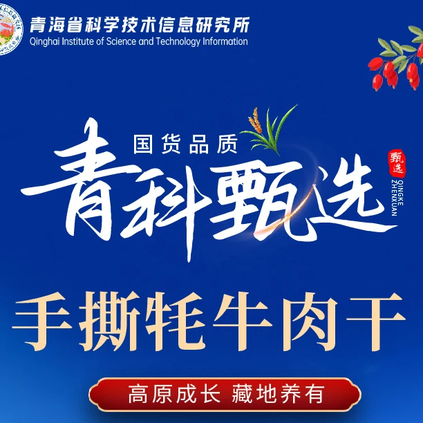 【雪山唐番】160g手撕牦牛肉五香味香辣味原味高原特产青海特产