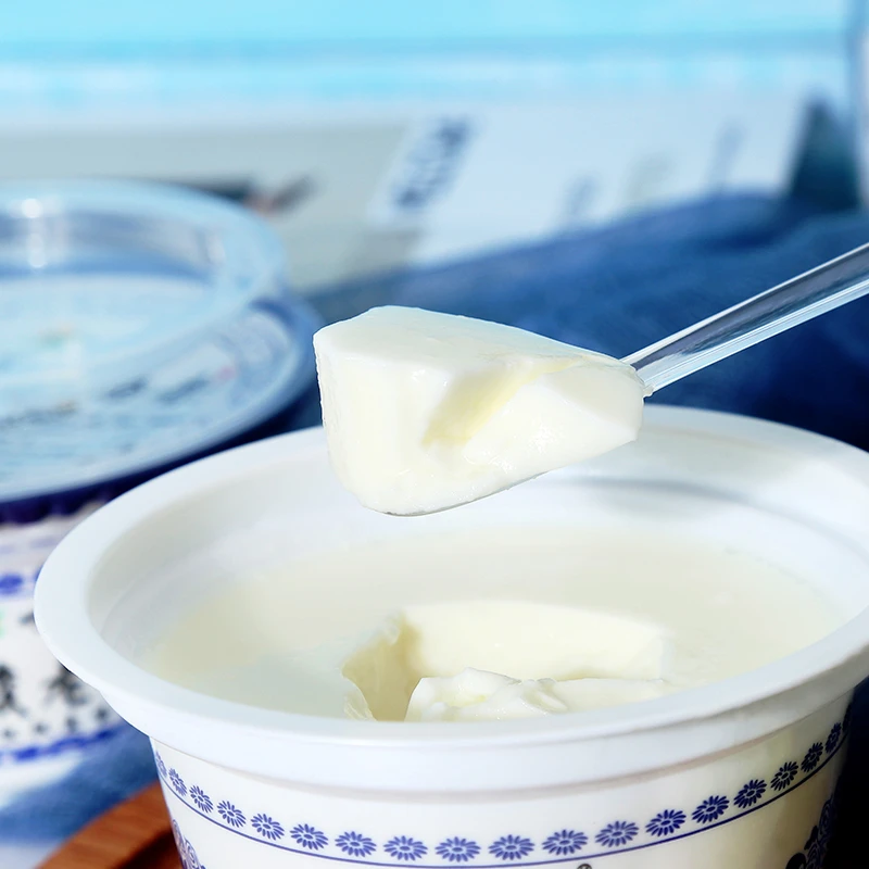 【小西牛】青海酸奶原味150g*12碗青海老酸奶风味青藏正宗经典酸奶