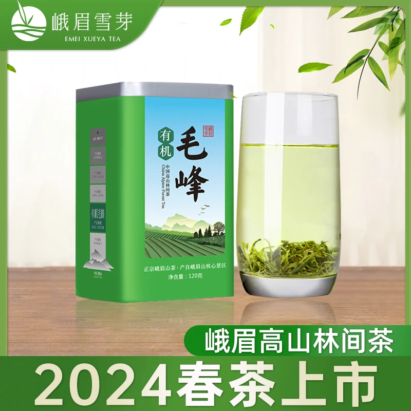 2024新茶 有机毛峰绿茶 四川峨眉高山茶