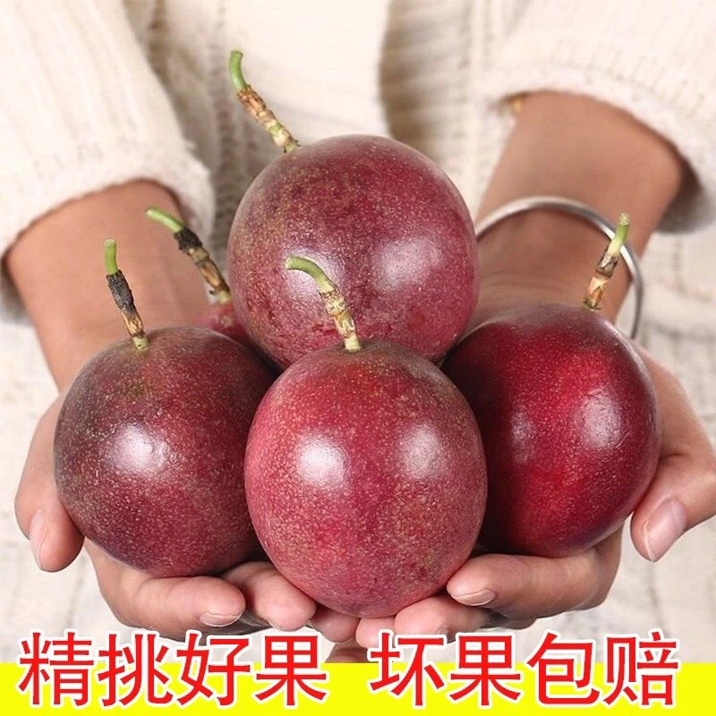 云南本地百香果 新鲜当季果特级大果 百香果现摘紫皮2-10斤包邮