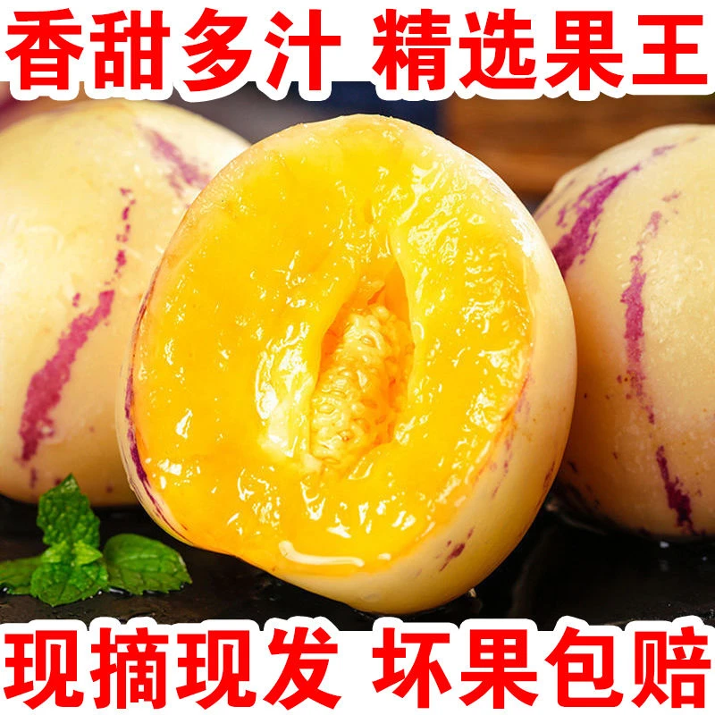 【精品圆果】黄肉人参果新鲜应季孕妇水果云南石林大果5斤批发