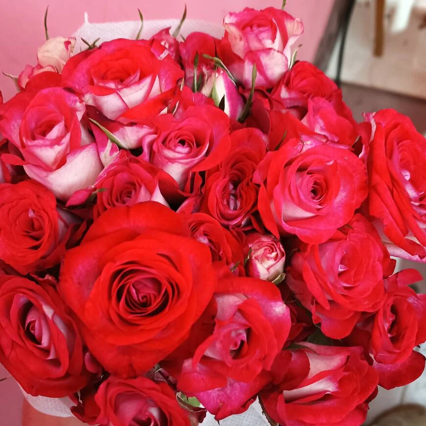 【买一送一】小头狮子座泡泡10支  多头玫瑰  云南基地鲜花直发