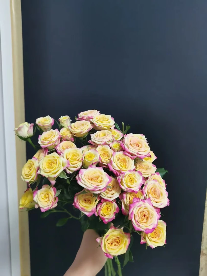 【买一送一】小头烟花泡泡10支 多头玫瑰云南基地鲜花   家养水养