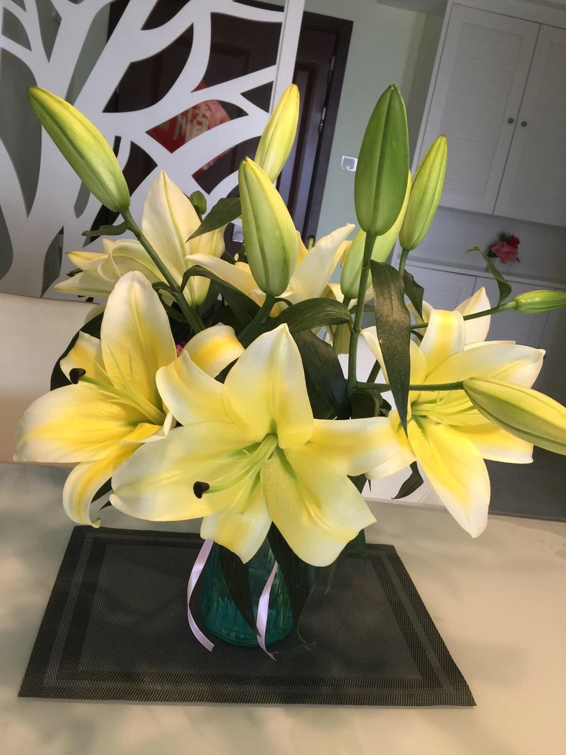 黄天霸百合三头 批发花店摆地摊基地直发一手货源  家养水养