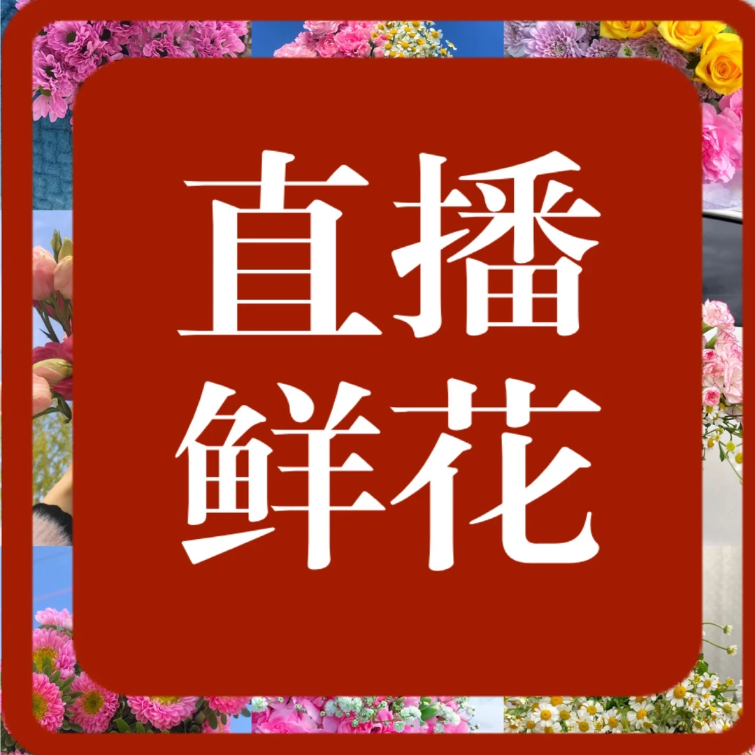 1339【鲜花组合】一物一拍 秒拍秒发 现场发货