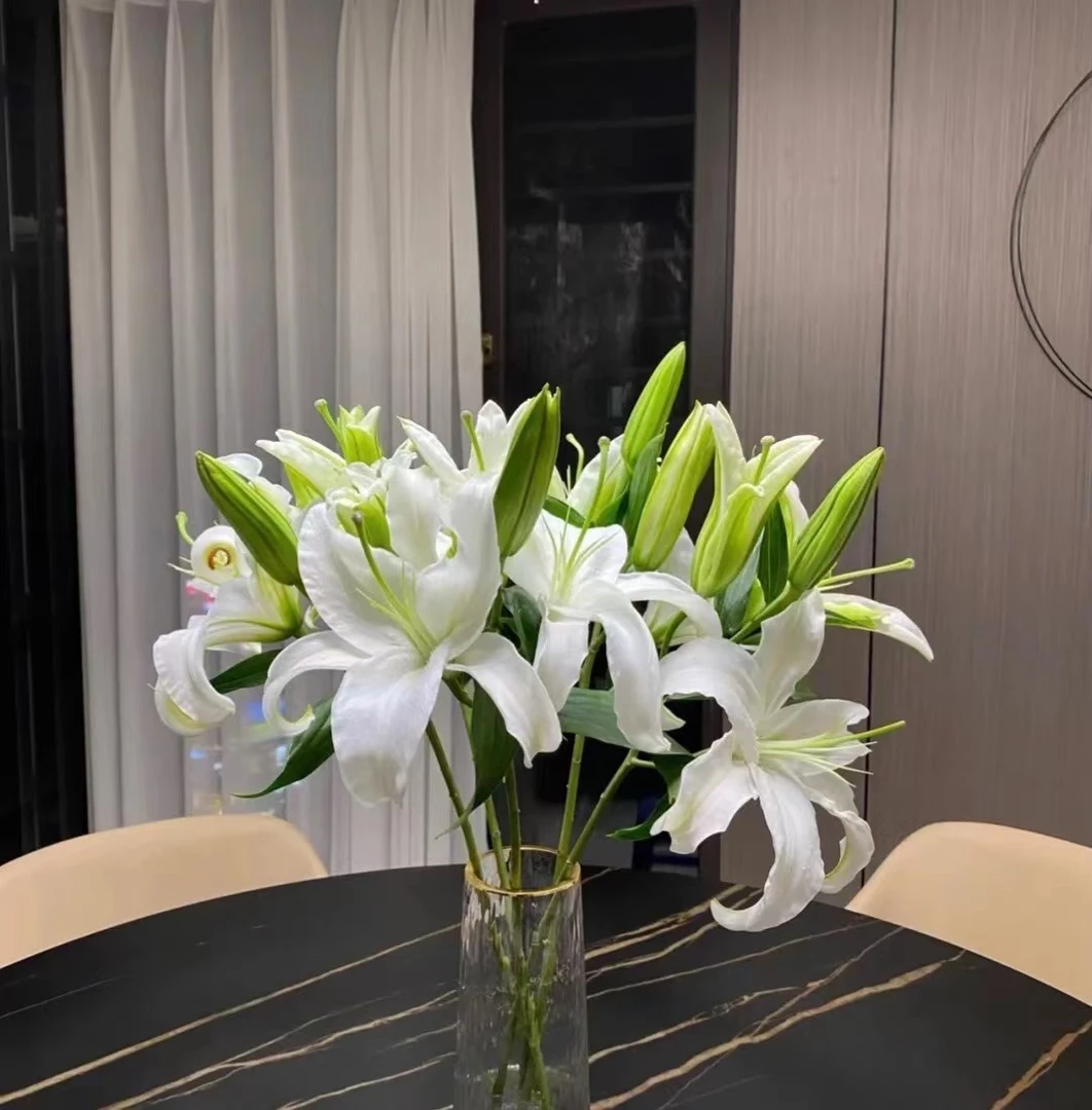 西伯利亚百合   白色百合 二头三头花店摆地摊鲜切花