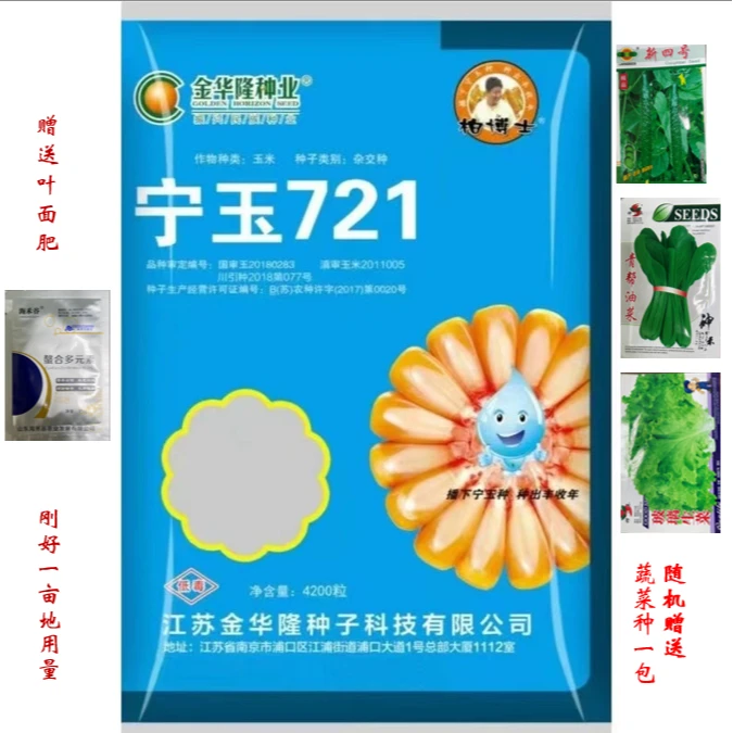国审滇审玉米种子宁玉721