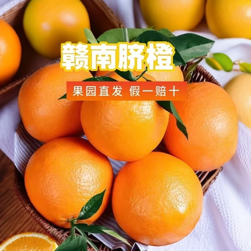 正宗江西赣南脐橙新鲜橙子当季水果香甜橙5斤试吃装产地现摘现发