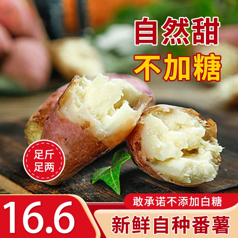 陕西红薯秦薯5号品种烤着吃蒸着吃甜糯美味