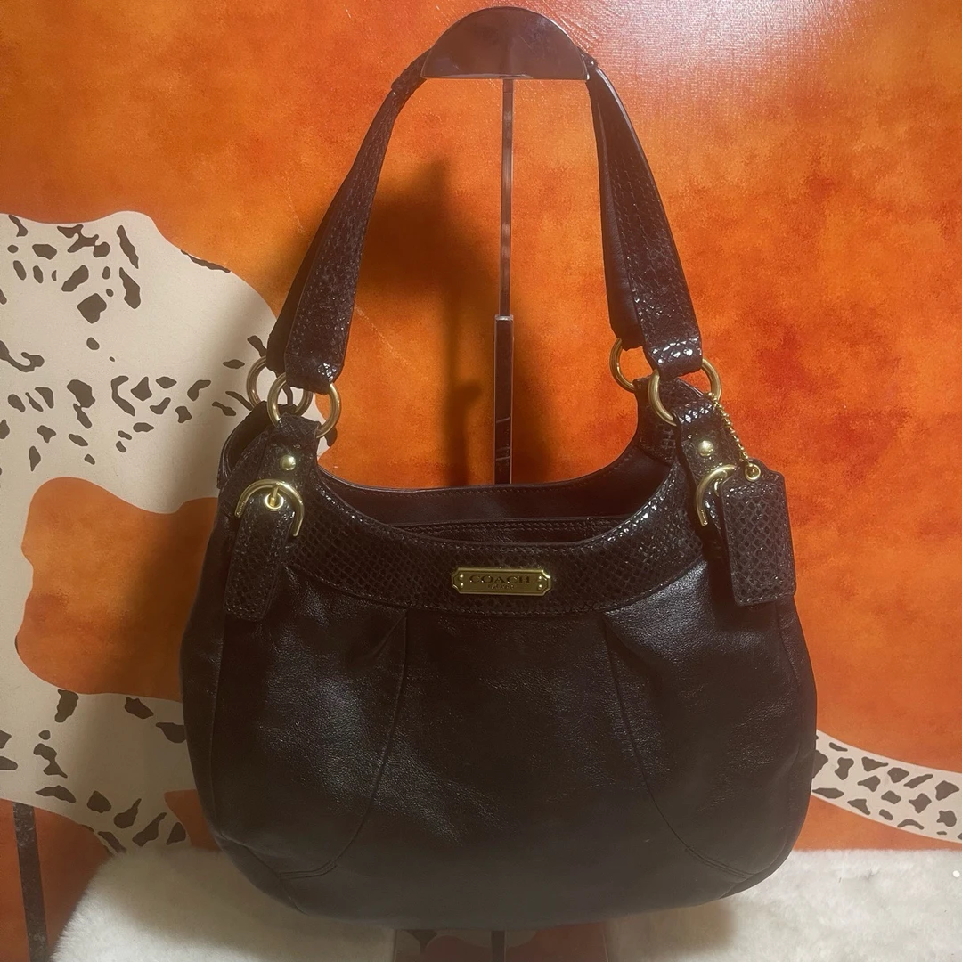 95新 COACH/蔻驰 9673 单肩包