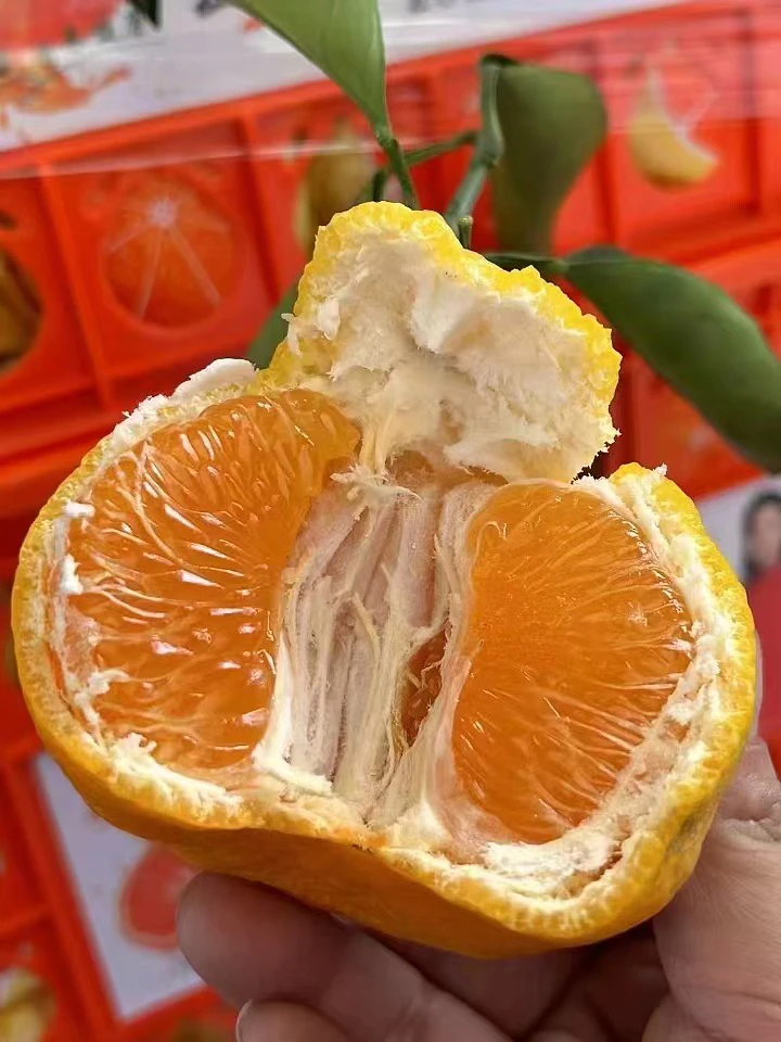 云南的丑橘一筐装