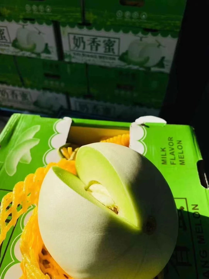 奶香蜜瓜一个软糯香甜 切盒