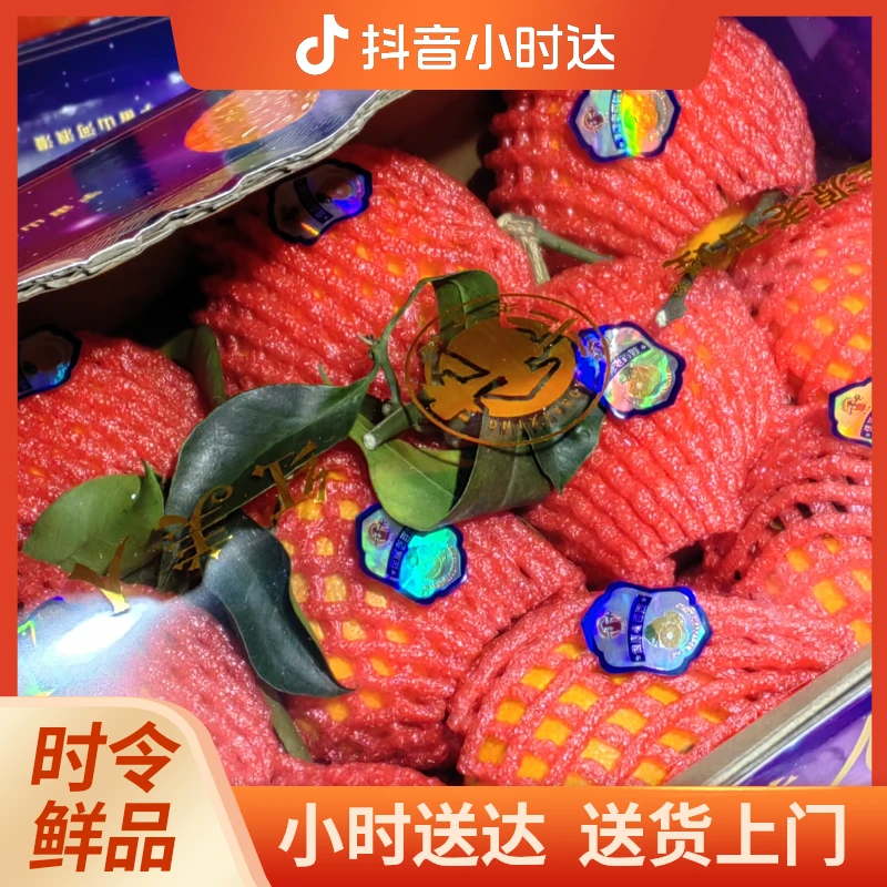 红美人果冻橙一箱 大果 约6斤左右