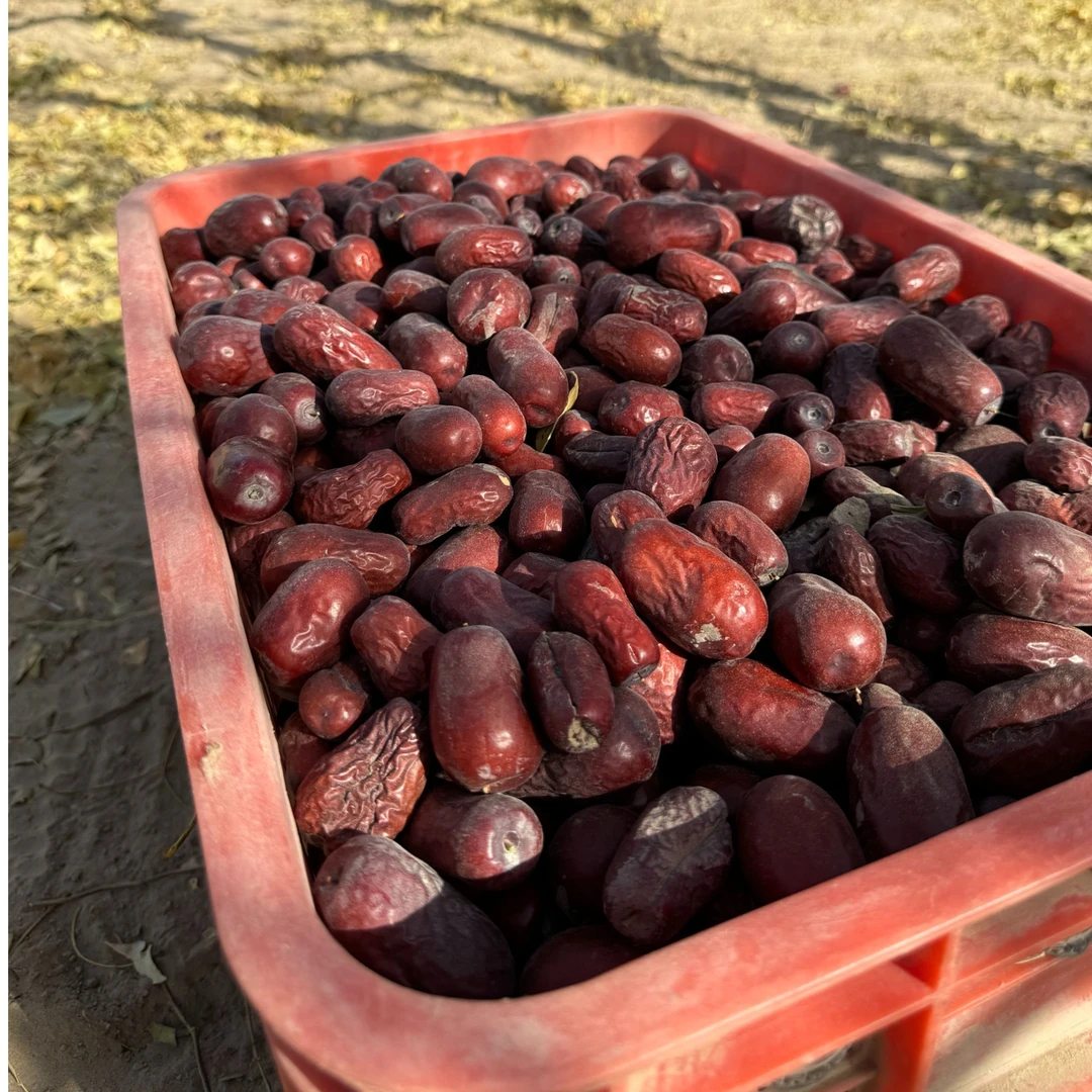 新疆和田大枣一二三级混5斤装原产地直发包邮