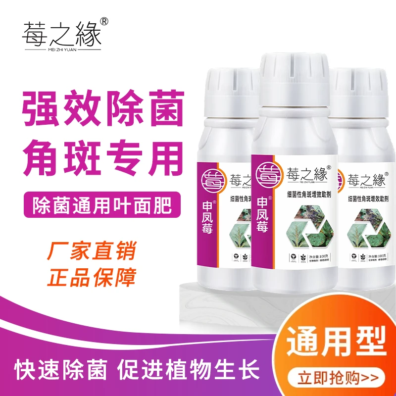 莓之缘草莓角斑病叶面肥叶斑断头空心流胶专用喷洒微生物菌剂高效