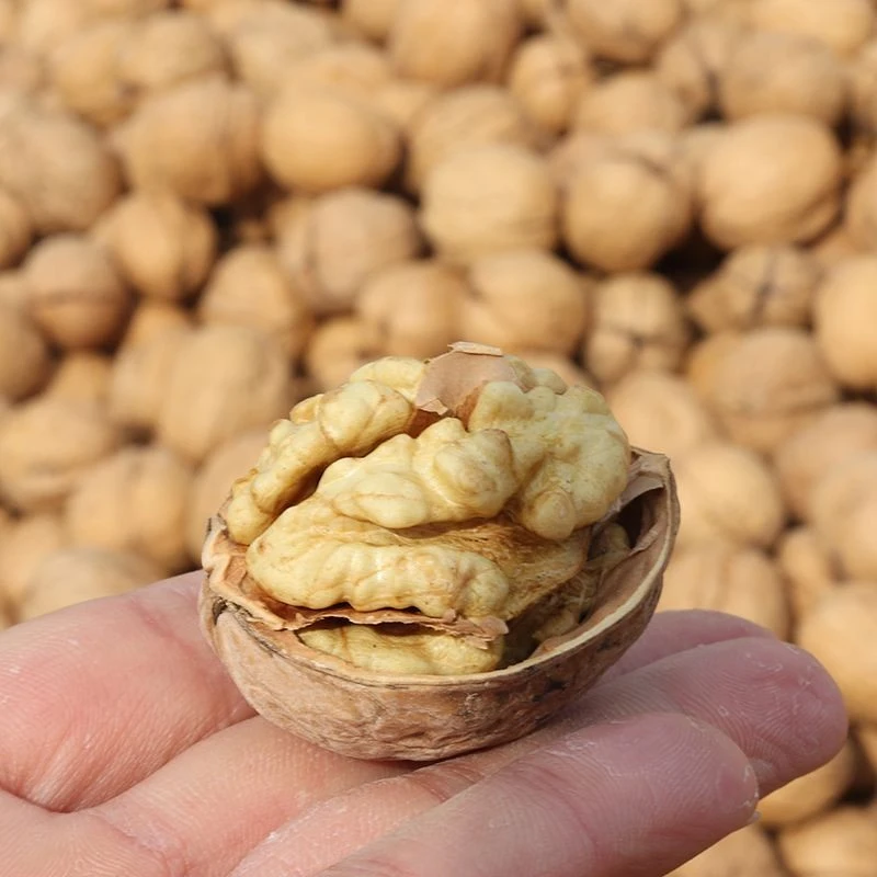 批发新疆阿克苏185纸皮核桃特产干果生核桃薄皮核桃手捏即开5斤
