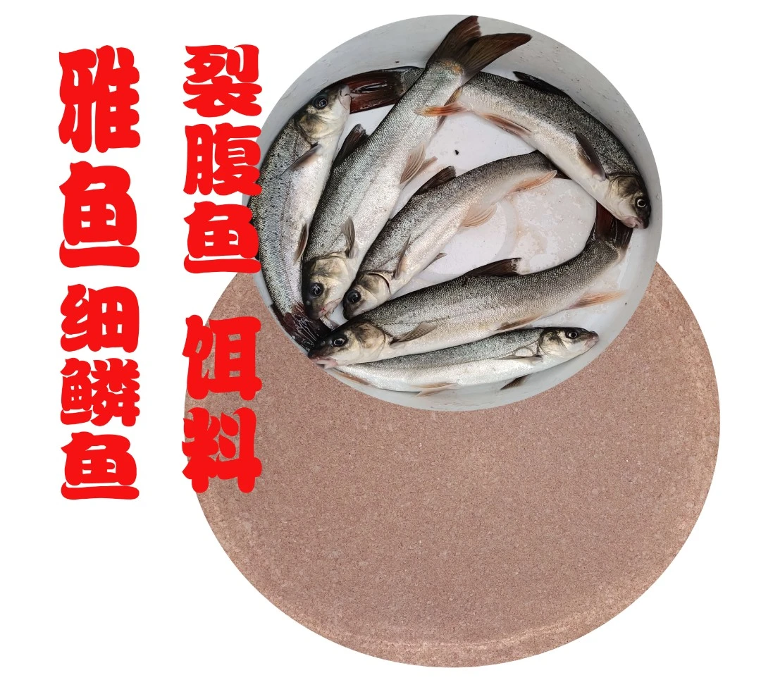 无品牌渔开颜裂腹鱼细鳞鱼急流溪流饵料不易散加水专用即用下单