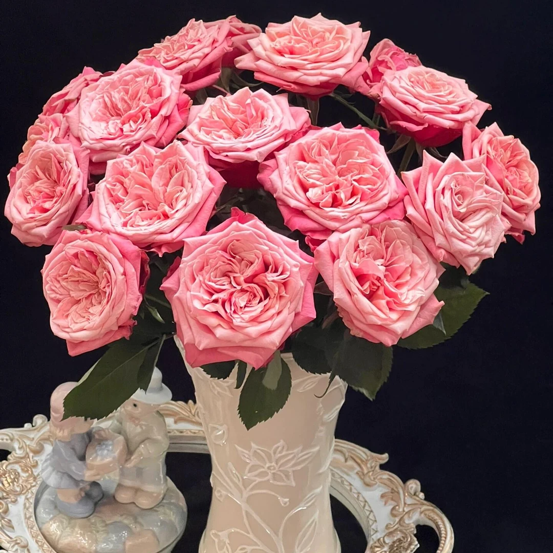 《全场任意两单包邮》闺蜜玫瑰20支花期久云南基地直发