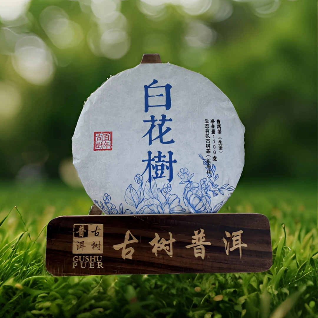 普洱生茶 白花树有机茶 2023年春茶生普茶叶白花树有机茶茶饼