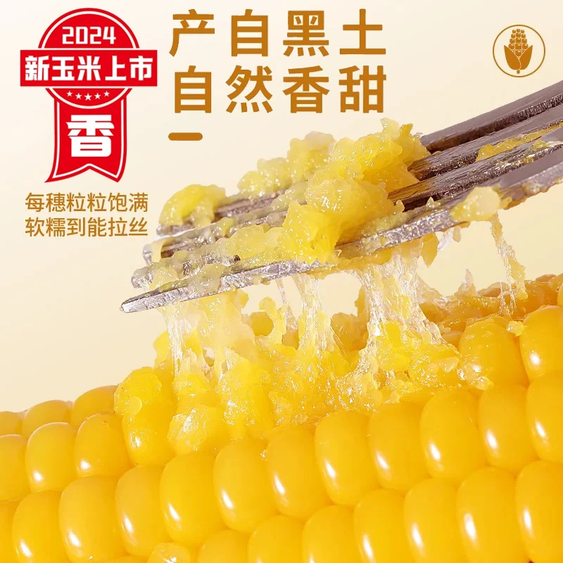 【2024年头茬】东北黄糯玉米试吃两根代餐饱腹10支真空包装2200gxy