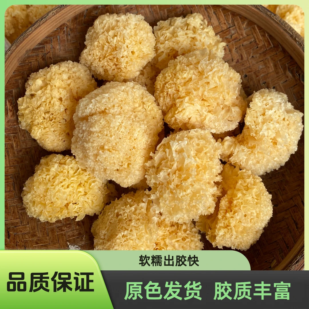 【稠糯银耳羹食材】古田椴木小银耳新货易出胶软糯古田银耳干货250g