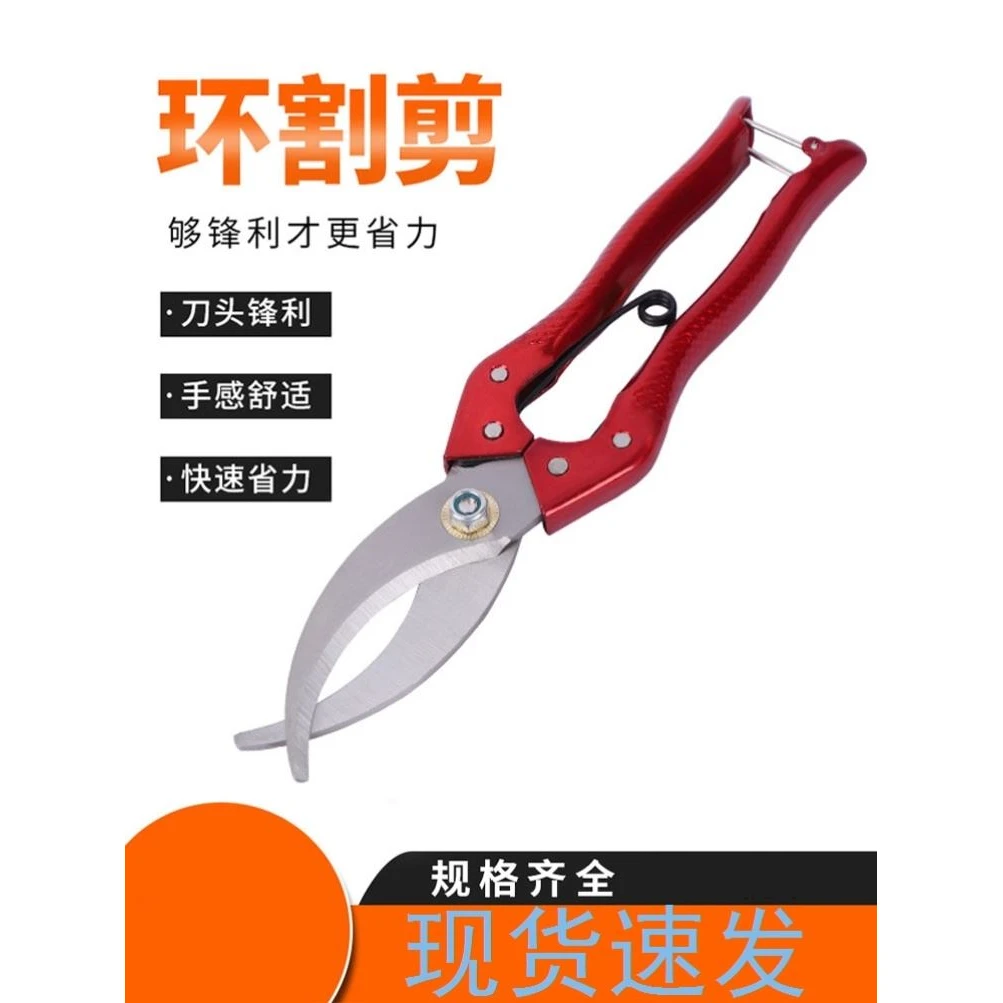 环切刀果树环割刀环割剪环枝剪高压枝条葡萄环枝剪环剥剪扒树皮刀