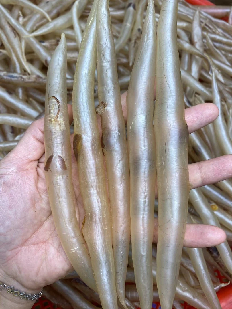 【阿萍花胶】本港鳗鱼胶 干花胶 鱼胶 50克-500克改价链接 广东